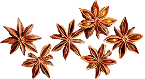 EO-ChefRec-BG-Spices-300px-001 EO-ChefRec-BG-Spices-300px-001